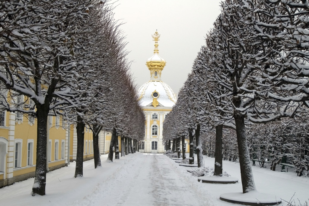 Winter's garden in Peterhof, St. Petersburg